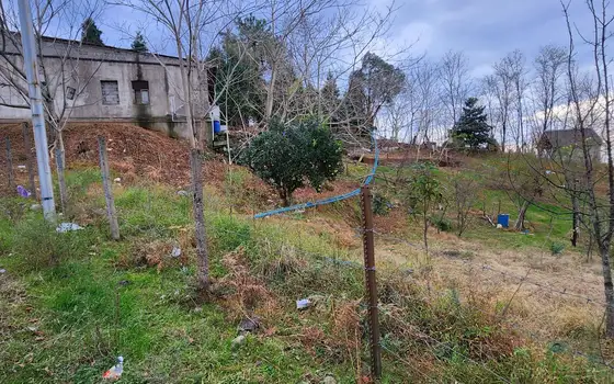 Investment Land in Tsikhisdziri with Sea View, photo 9