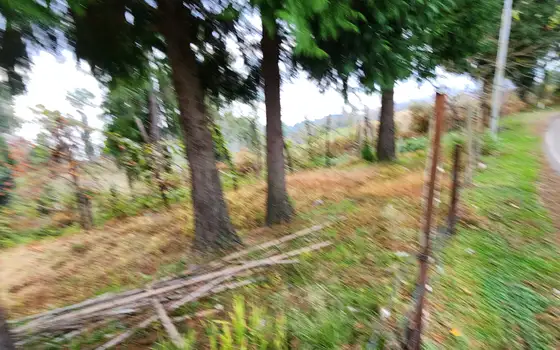 Investment Land in Tsikhisdziri with Sea View, photo 5