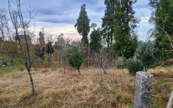 Investment Land in Tsikhisdziri with Sea View, photo 10