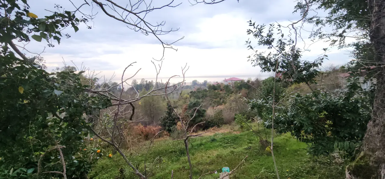 Investment Land Plot with Sea View in Tsikhisdziri, photo 1