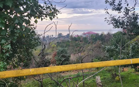 Investment Land Plot with Sea View in Tsikhisdziri, photo 10