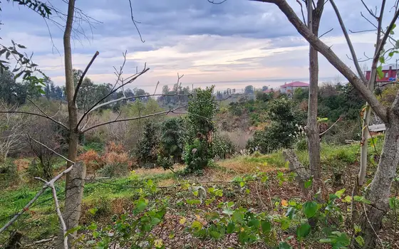 Investment Land Plot with Sea View in Tsikhisdziri, photo 3
