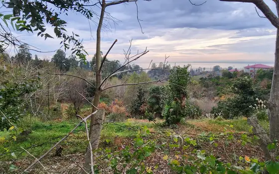 Investment Land Plot with Sea View in Tsikhisdziri, photo 4