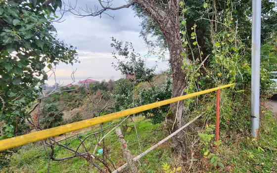 Investment Land Plot with Sea View in Tsikhisdziri, photo 8