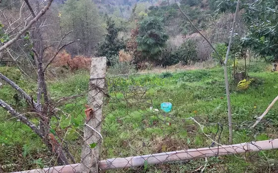 Земельный участок несельскохозяйственного назначения.