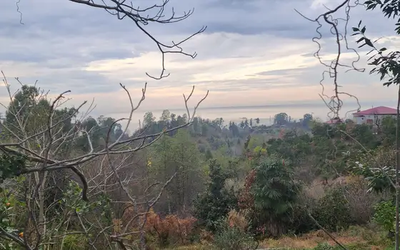 Investment Land Plot with Sea View in Tsikhisdziri, photo 12