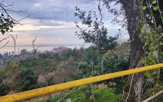 Investment Land Plot with Sea View in Tsikhisdziri, photo 9
