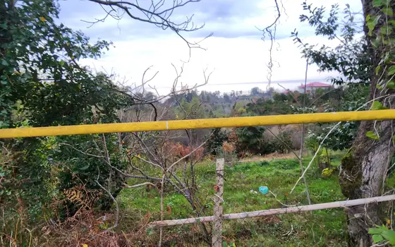 Investment Land Plot with Sea View in Tsikhisdziri, photo 6