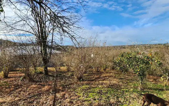 Лучшая недвижимость с прекрасным видом.
