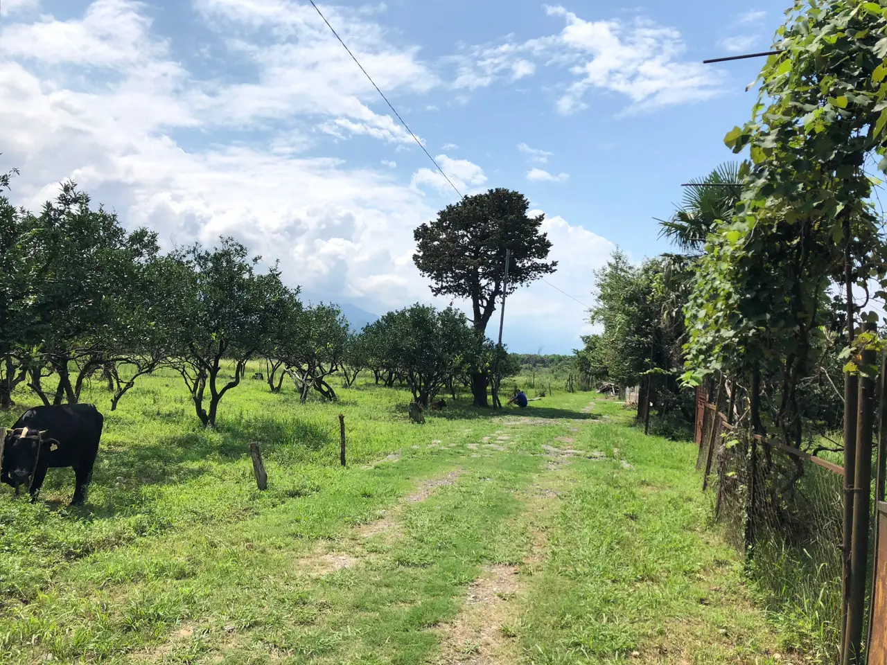 1,150 sq. m Land Plot on Airport Road, photo 1