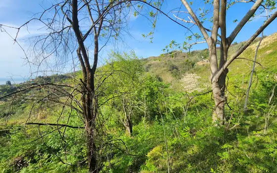 Продается инвестиционный земельный участок с видом на море.