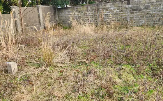 3300 m² Plot in Tsikhisdziri with Sea Views, photo 6