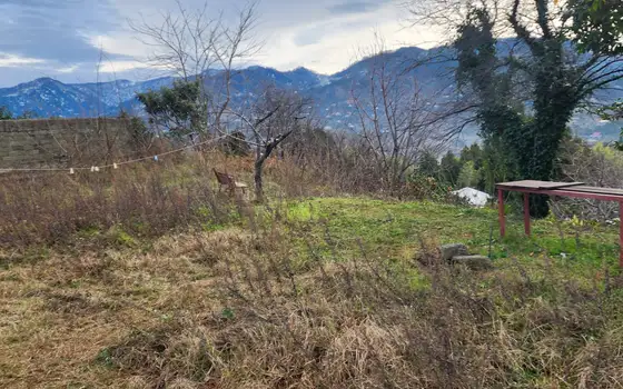 3300 m² Plot in Tsikhisdziri with Sea Views, photo 5