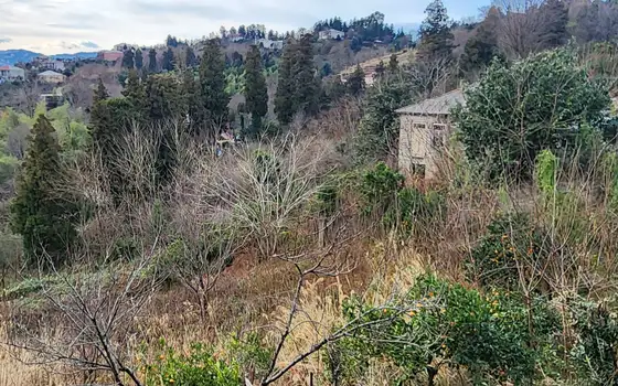 3300 m² Plot in Tsikhisdziri with Sea Views, photo 11