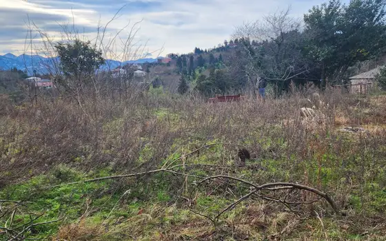 3300 m² Plot in Tsikhisdziri with Sea Views, photo 8