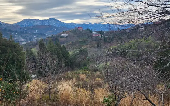 3300 m² Plot in Tsikhisdziri with Sea Views, photo 10