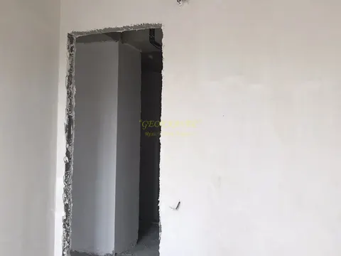 Четырехкомнатная квартира в Тбилиси.