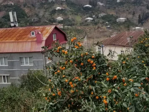 Продается земельный участок в Чакви.