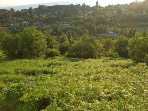 Продается земельный участок в Цихисдзири.