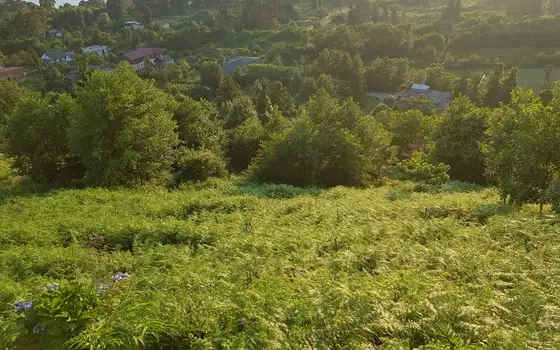 Продается земельный участок в Цихисдзири.